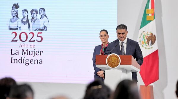 Gobierno de México plantea un recorte de casi el 19% a los recursos de la Secretaría de Seguridad - Sputnik Mundo