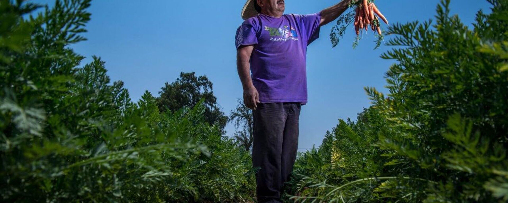 Cae la productividad laboral en México durante el segundo trimestre de 2025 - Sputnik Mundo, 1920, 11.09.2025