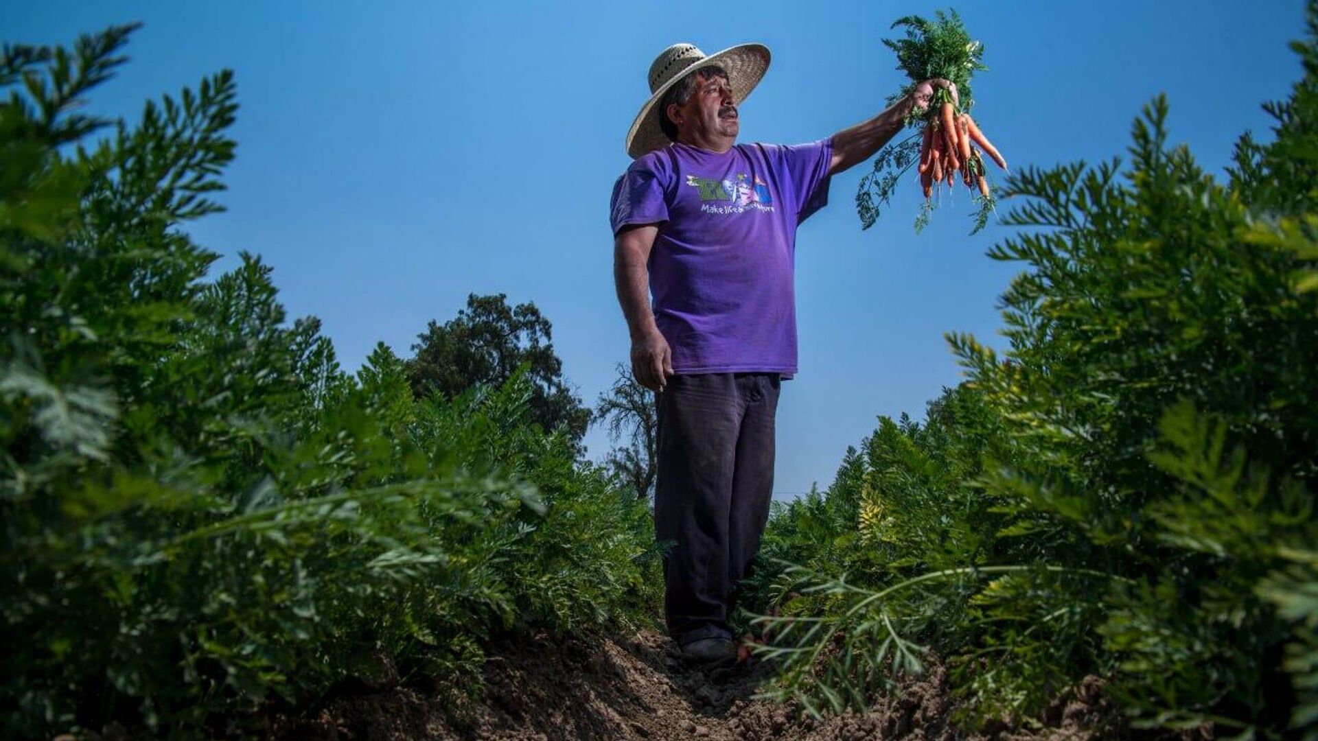 Cae la productividad laboral en México durante el segundo trimestre de 2025 Cae la productividad laboral en México durante el segundo trimestre de 2025 - Sputnik Mundo, 1920, 11.09.2025