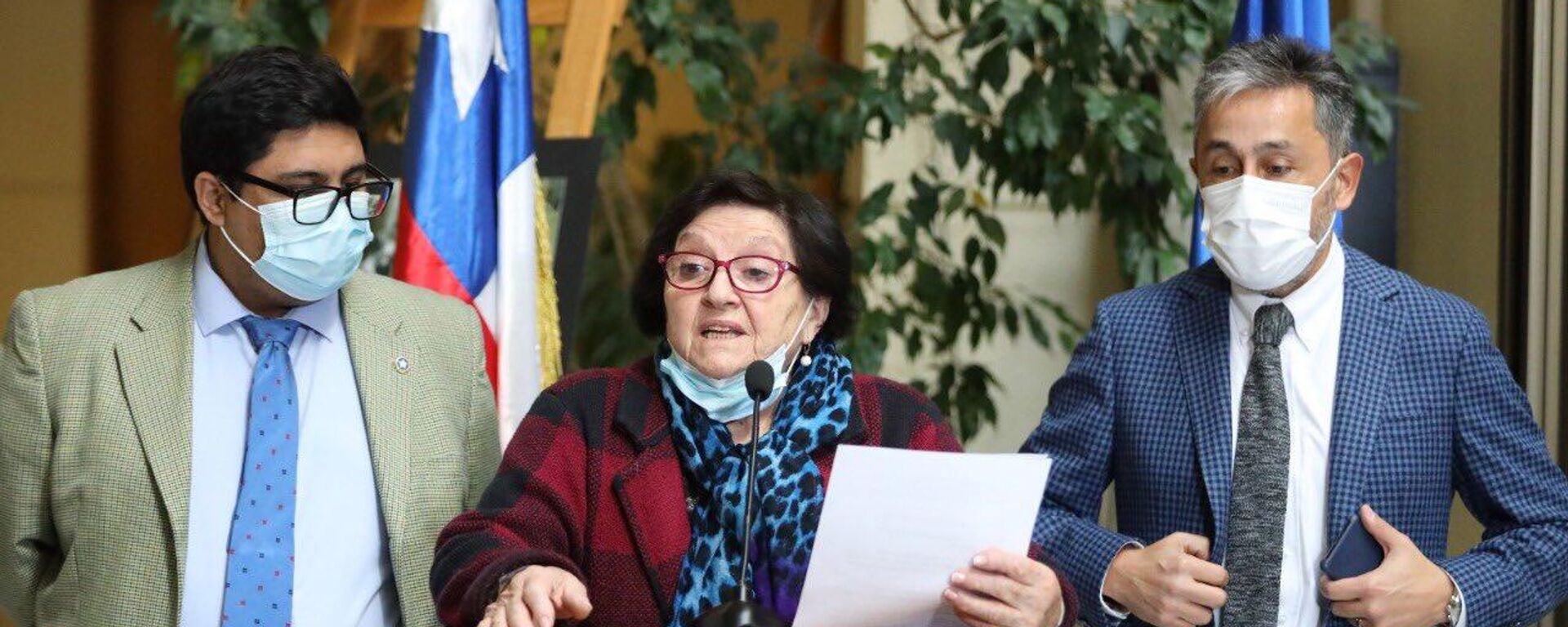 María Luisa Cordero, diputada chilena - Sputnik Mundo, 1920, 12.09.2025