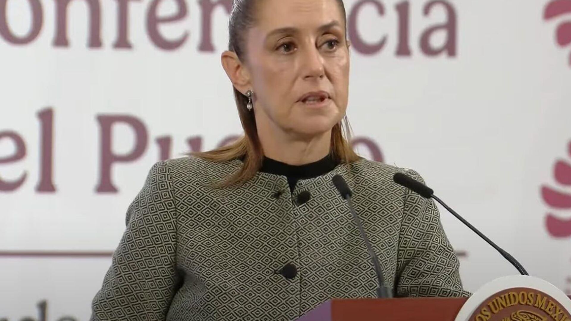 Sheinbaum pide a los mexicanos en EEUU extremar sus precauciones durante los festejos patrios Sheinbaum pide a los mexicanos en EEUU extremar sus precauciones durante los festejos patrios - Sputnik Mundo, 1920, 13.09.2025