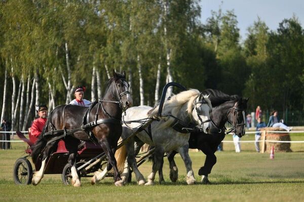Un viaje a través de la historia: espectáculo ecuestre sorprende al público moscovita Un viaje a través de la historia: espectáculo ecuestre sorprende al público moscovita - Sputnik Mundo