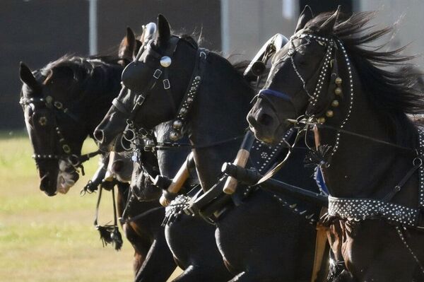 Un viaje a través de la historia: espectáculo ecuestre sorprende al público moscovita Un viaje a través de la historia: espectáculo ecuestre sorprende al público moscovita - Sputnik Mundo