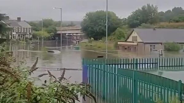 󠁧󠁢󠁷󠁬󠁳󠁿 Alerta amarilla: Gales bajo el agua - Sputnik Mundo