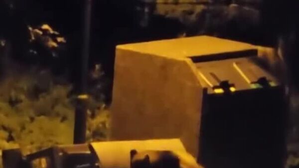 ¿Un albergue? Un oso en Polonia confunde un contenedor de basura con su lugar para dormir - Sputnik Mundo