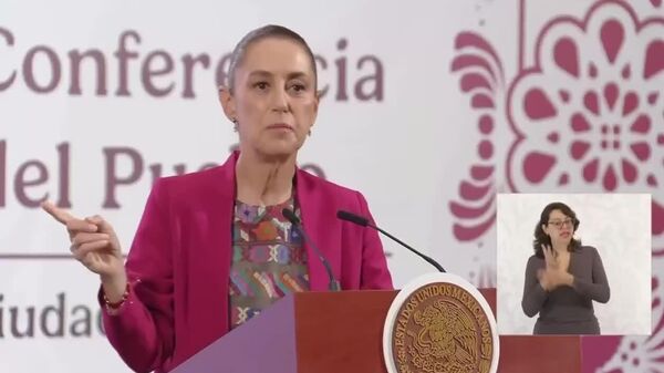 Sheinbaum dice que ataques mediáticos contra hijos de AMLO buscan desprestigiar - Sputnik Mundo