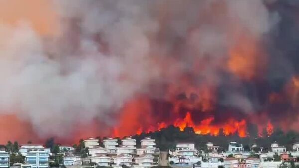 Incendios forestales amenazan a las zonas residenciales en Turquía - Sputnik Mundo