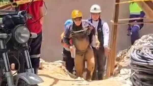 Rescatan con vida a 23 personas atrapadas en mina de Colombia - Sputnik Mundo