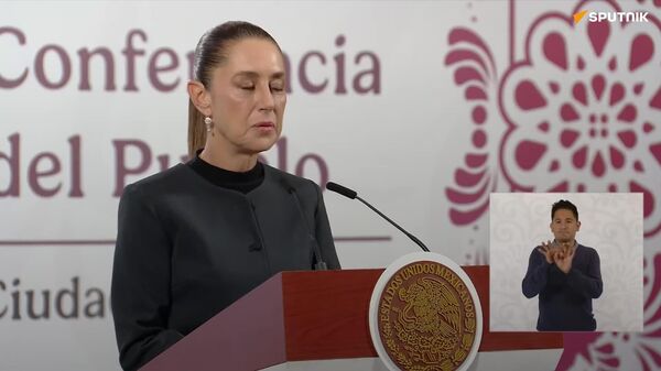 Sheinbaum rechaza negociar en lo oscurito con Salinas Pliego - Sputnik Mundo