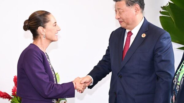 México no cree que haya indicios de tensiones comerciales con China - Sputnik Mundo