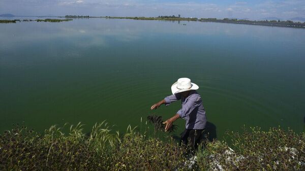 Pescador en el Lago de Texcoco - Sputnik Mundo