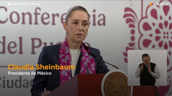 México exige justicia por muerte de migrante tras tiroteo dentro de centro de detención de ICE en Dallas - Sputnik Mundo