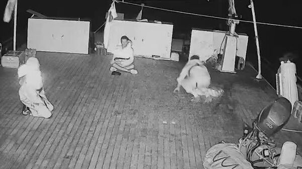 🪖 Interceptación de la Flotilla Global Sumud es un acto de piratería y terrorismo, afirma Hamás - Sputnik Mundo