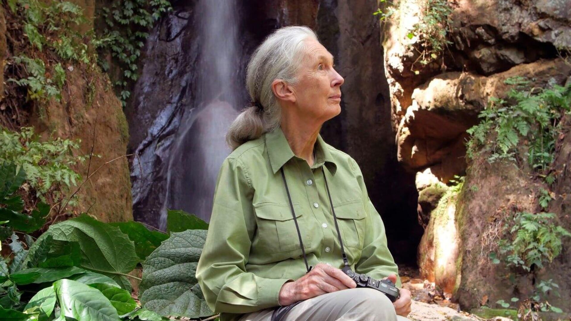  Muere la científica y activista Jane Goodall a los 91 años Muere la científica y activista Jane Goodall a los 91 años - Sputnik Mundo, 1920, 02.10.2025