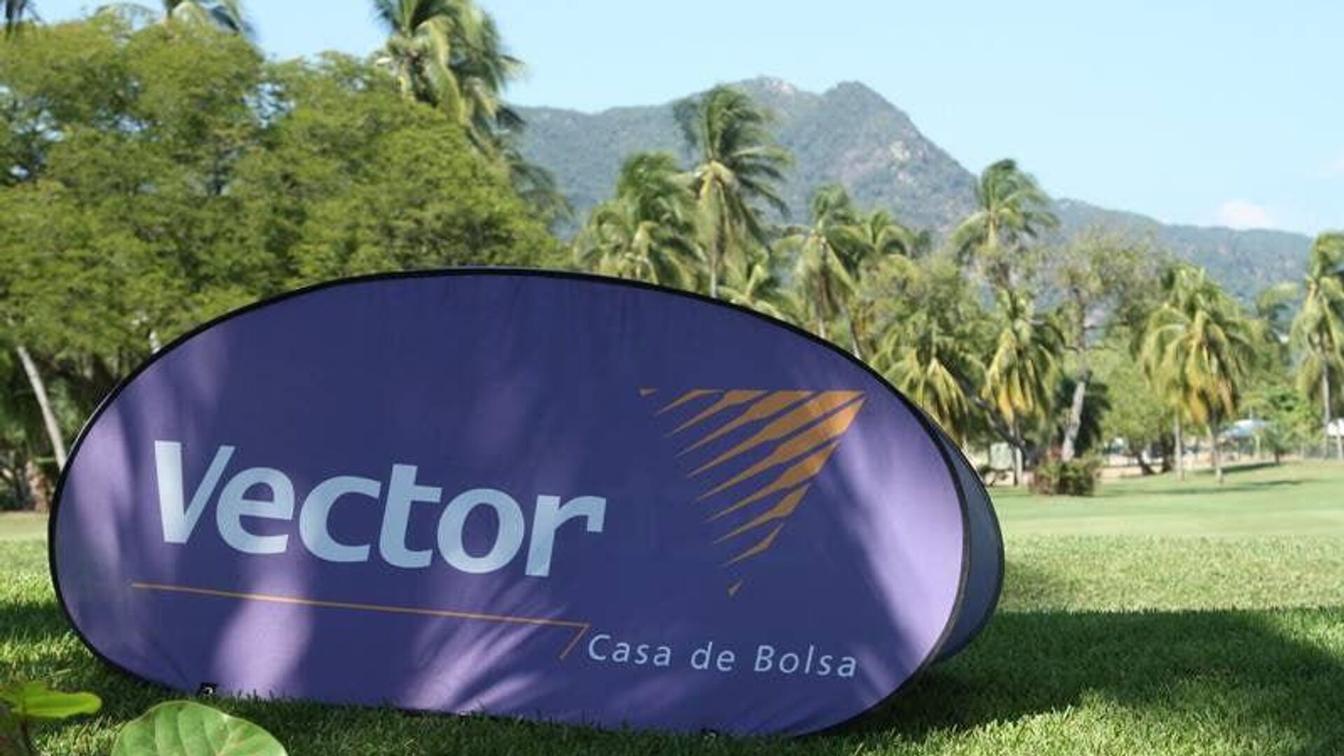 Financiera mexicana señalada por el Tesoro de EEUU transferirá sus activos Financiera mexicana señalada por el Tesoro de EEUU transferirá sus activos - Sputnik Mundo, 1920, 02.10.2025