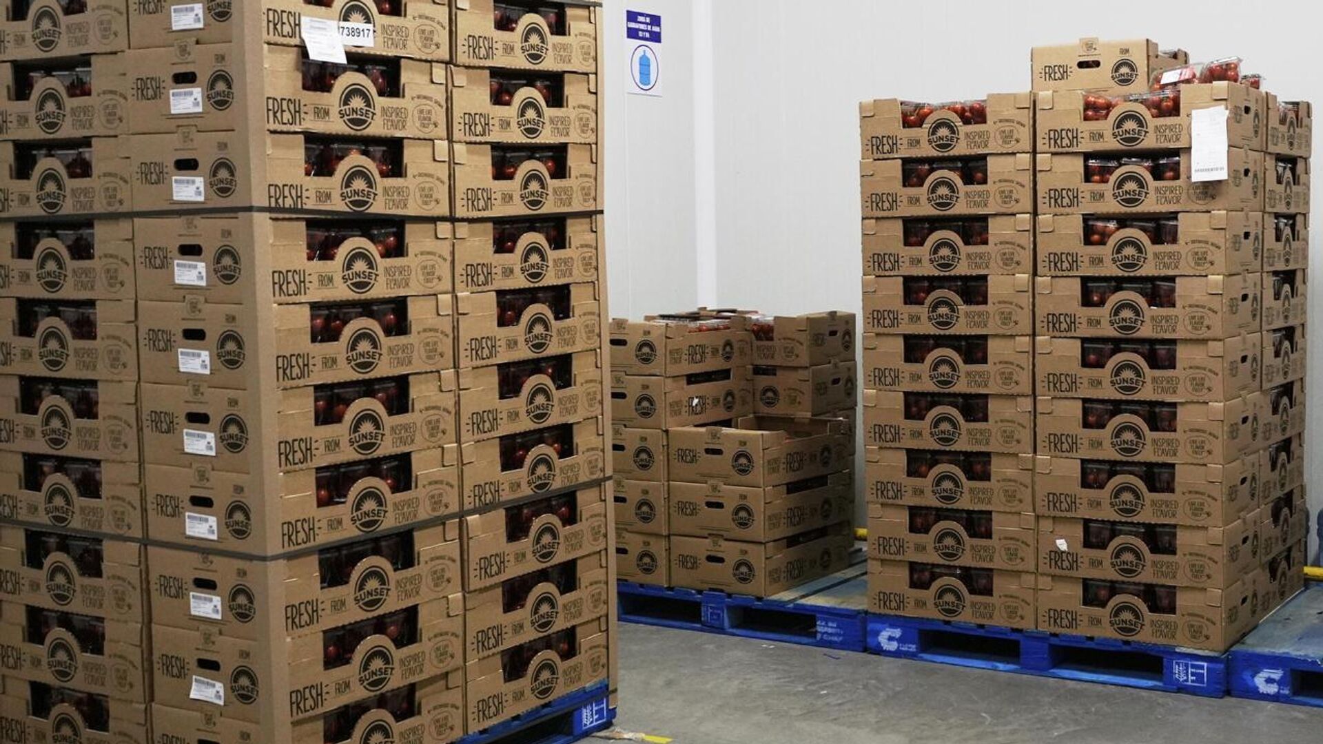 México es el país que más desperdicia alimentos en Latinoamérica, según estudio México es el país que más desperdicia alimentos en Latinoamérica, según estudio - Sputnik Mundo, 1920, 03.10.2025