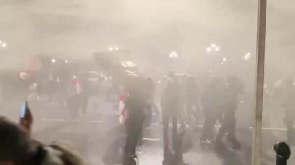 🪧 Manifestantes de la oposición en Georgia intentan irrumpir en el palacio presidencial de la capital - Sputnik Mundo
