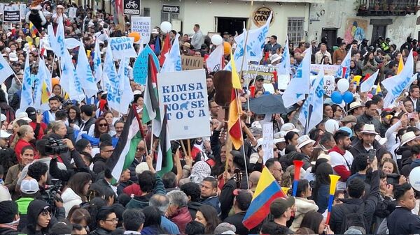 Ecuador anula la licencia ambiental de una minera canadiense - Sputnik Mundo