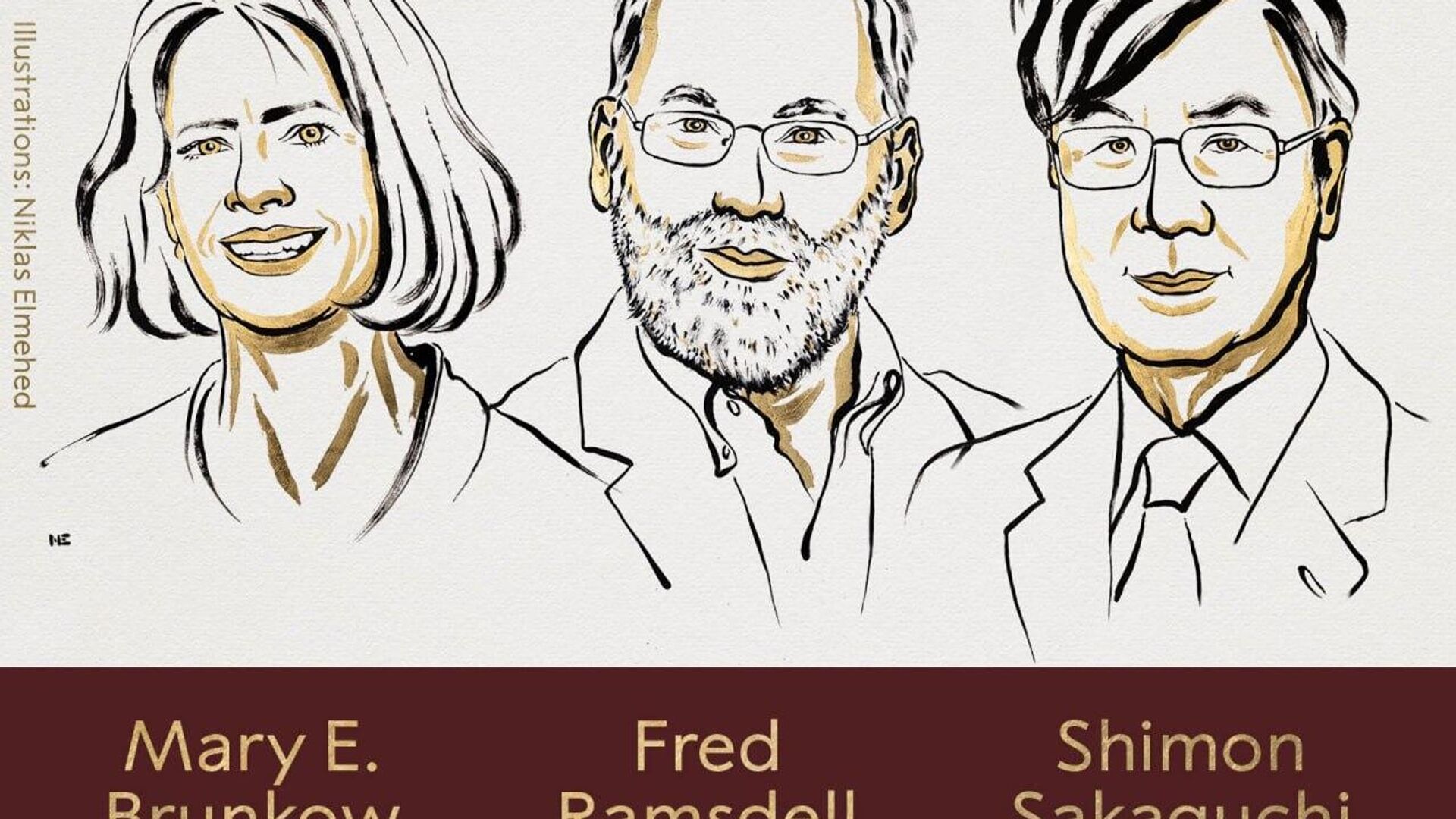 🩺 Entregan Nobel de Medicina a investigación sobre el sistema inmunitario 🩺 Entregan Nobel de Medicina a investigación sobre el sistema inmunitario - Sputnik Mundo, 1920, 06.10.2025