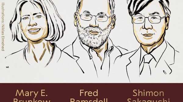 🩺 Entregan Nobel de Medicina a investigación sobre el sistema inmunitario - Sputnik Mundo