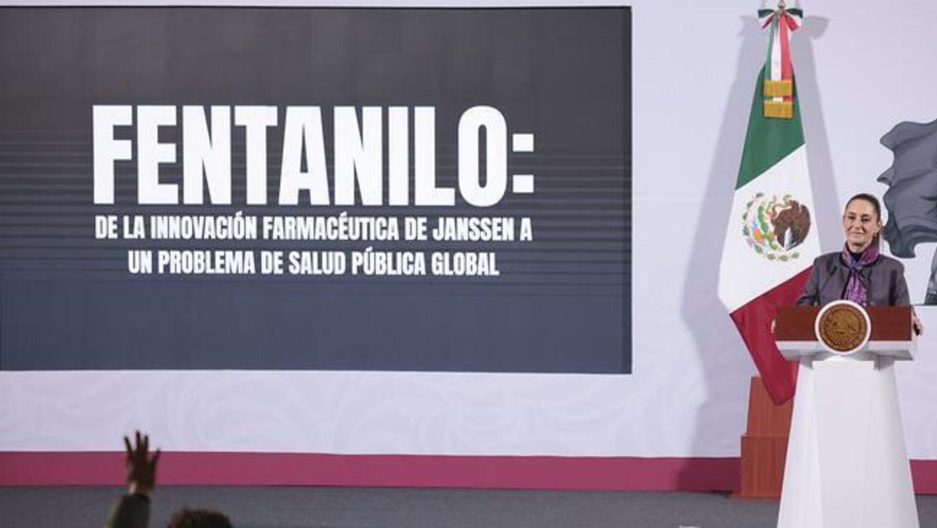 Caen más de 50% las incautaciones de fentanilo en EEUU, asegura el Gobierno mexicano Caen más de 50% las incautaciones de fentanilo en EEUU, asegura el Gobierno mexicano - Sputnik Mundo, 1920, 09.10.2025