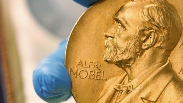 Políticamente motivado: un experto comenta la elección de la ganadora del Premio Nobel de la Paz - Sputnik Mundo