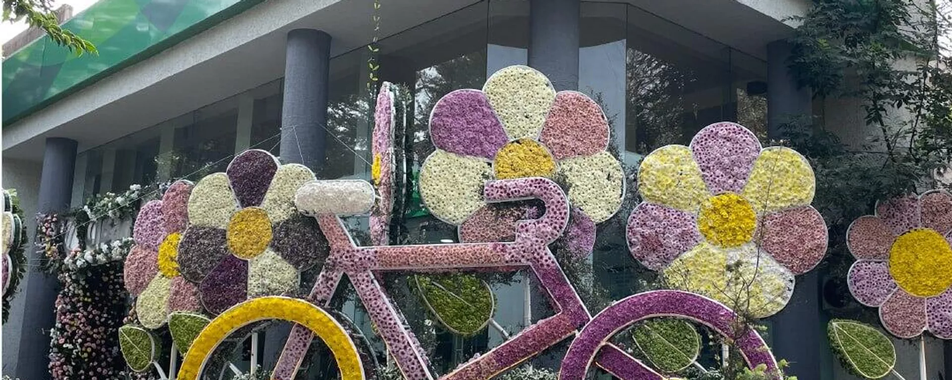 Revocan la licencia al banco mexicano señalado por EEUU de lavar dinero para el narco - Sputnik Mundo, 1920, 11.10.2025