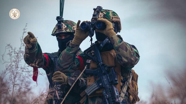 Las fuerzas afganas concluyen la operación de represalia contra Pakistán - Sputnik Mundo