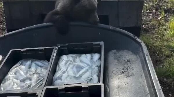 Sorprendido 'in fraganti': frustran 'el robo del siglo' en Rusia - Sputnik Mundo