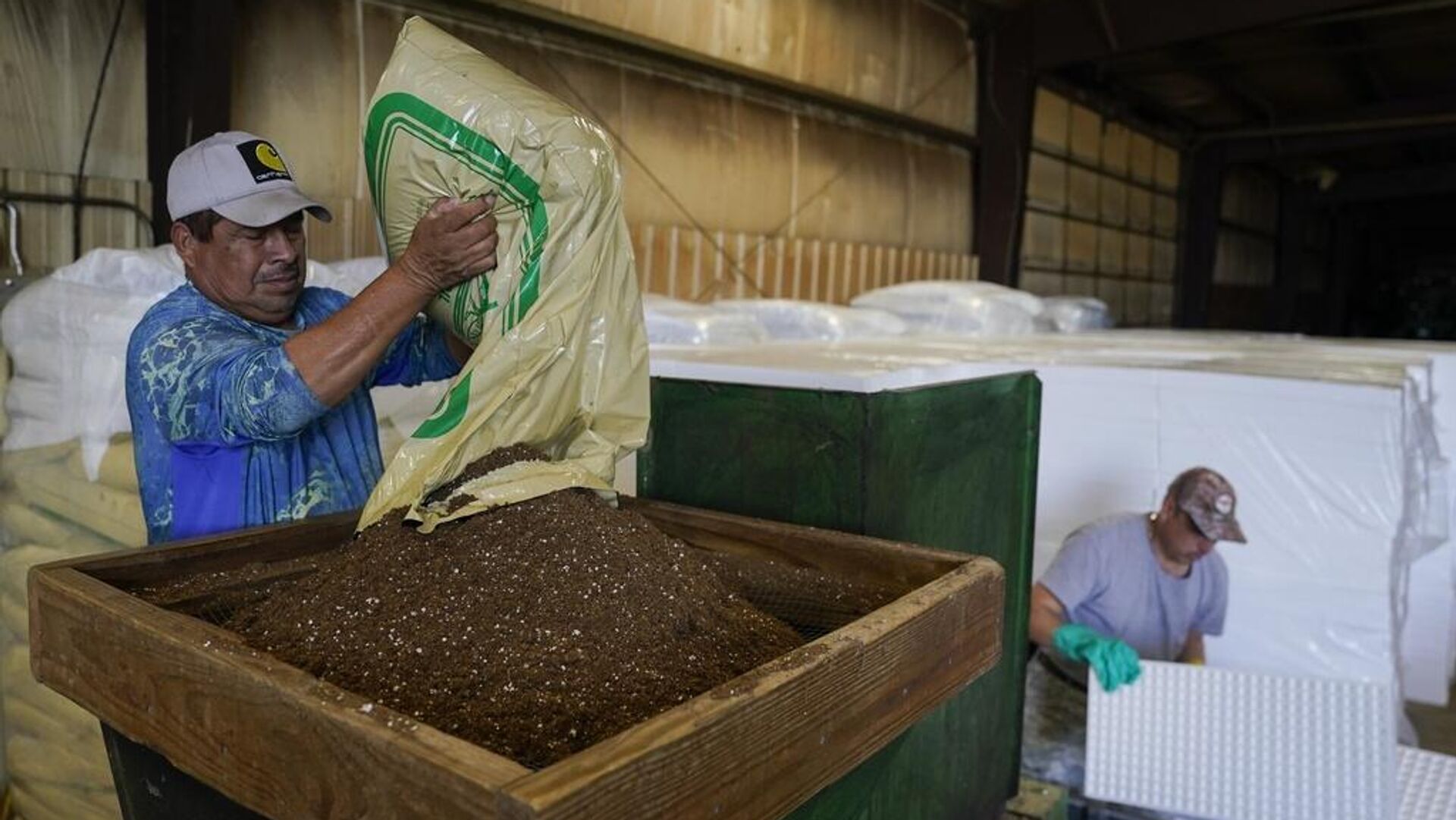  Gobierno de EEUU reconoce que la actual política migratoria podría causar un aumento de precios Gobierno de EEUU reconoce que la actual política migratoria podría causar un aumento de precios - Sputnik Mundo, 1920, 12.10.2025