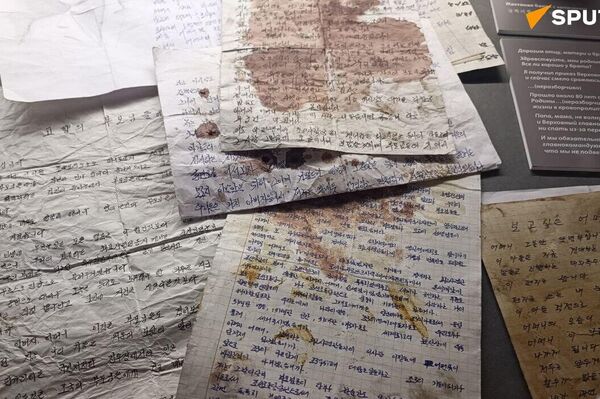 🪖 Hombro con hombro: Moscú inaugura una gran exposición sobre los 80 años de cooperación entre Rusia y Corea del Norte 🪖 Hombro con hombro: Moscú inaugura una gran exposición sobre los 80 años de cooperación entre Rusia y Corea del Norte - Sputnik Mundo