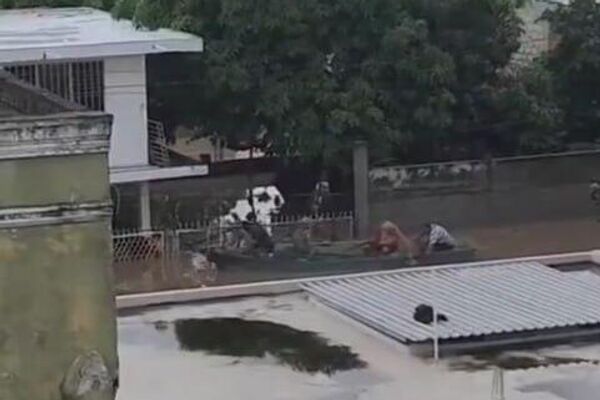 🫂 Pareja de abuelitos se abrazan en medio de las inundaciones en México 🫂 Pareja de abuelitos se abrazan en medio de las inundaciones en México - Sputnik Mundo