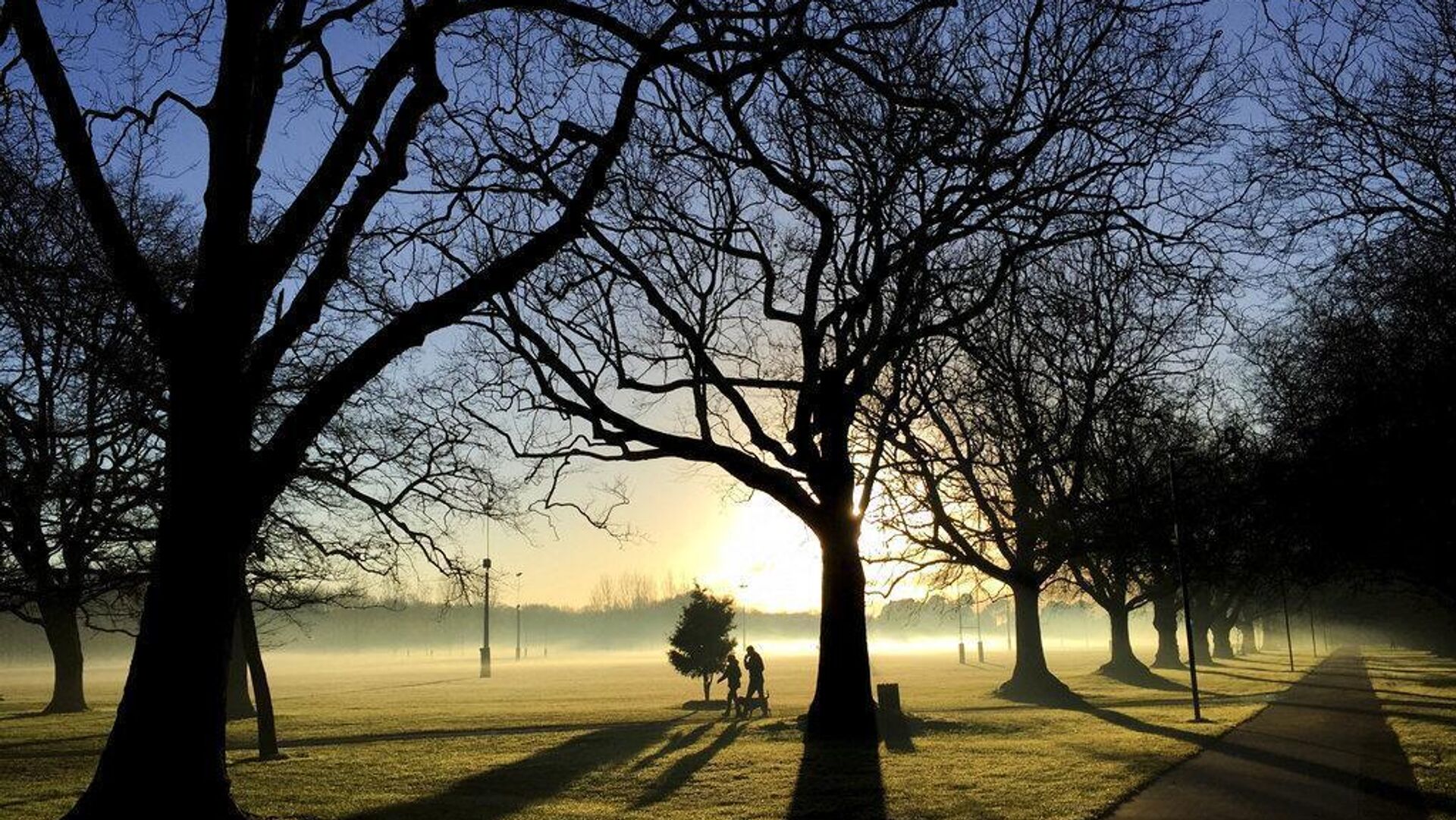 ¿Cómo Nueva Zelanda busca atajar el problema de las pensiones? ¿Cómo Nueva Zelanda busca atajar el problema de las pensiones? - Sputnik Mundo, 1920, 14.10.2025