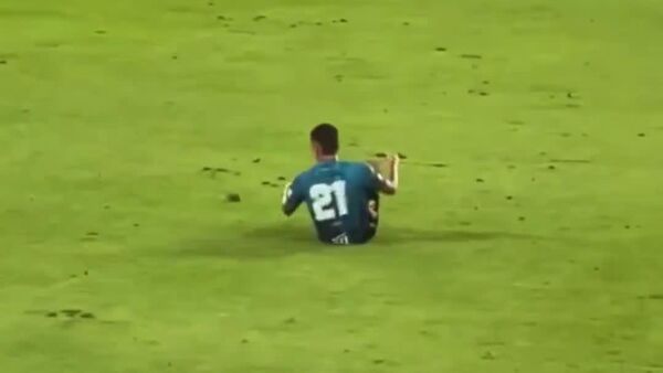 Astuto jugador de cuatro patas: un perro simula una falta en el campo de fútbol - Sputnik Mundo