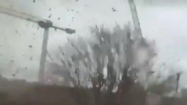 Al menos un muerto y severos daños materiales por un tornado en los suburbios de París - Sputnik Mundo