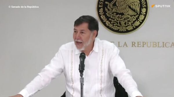 El senador mexicano Fernández Noroña pide licencia para viajar a Palestina - Sputnik Mundo