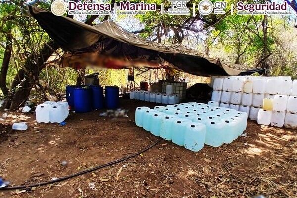 Aseguran en el norte de México más de 500 kilos de drogas Aseguran en el norte de México más de 500 kilos de drogas - Sputnik Mundo