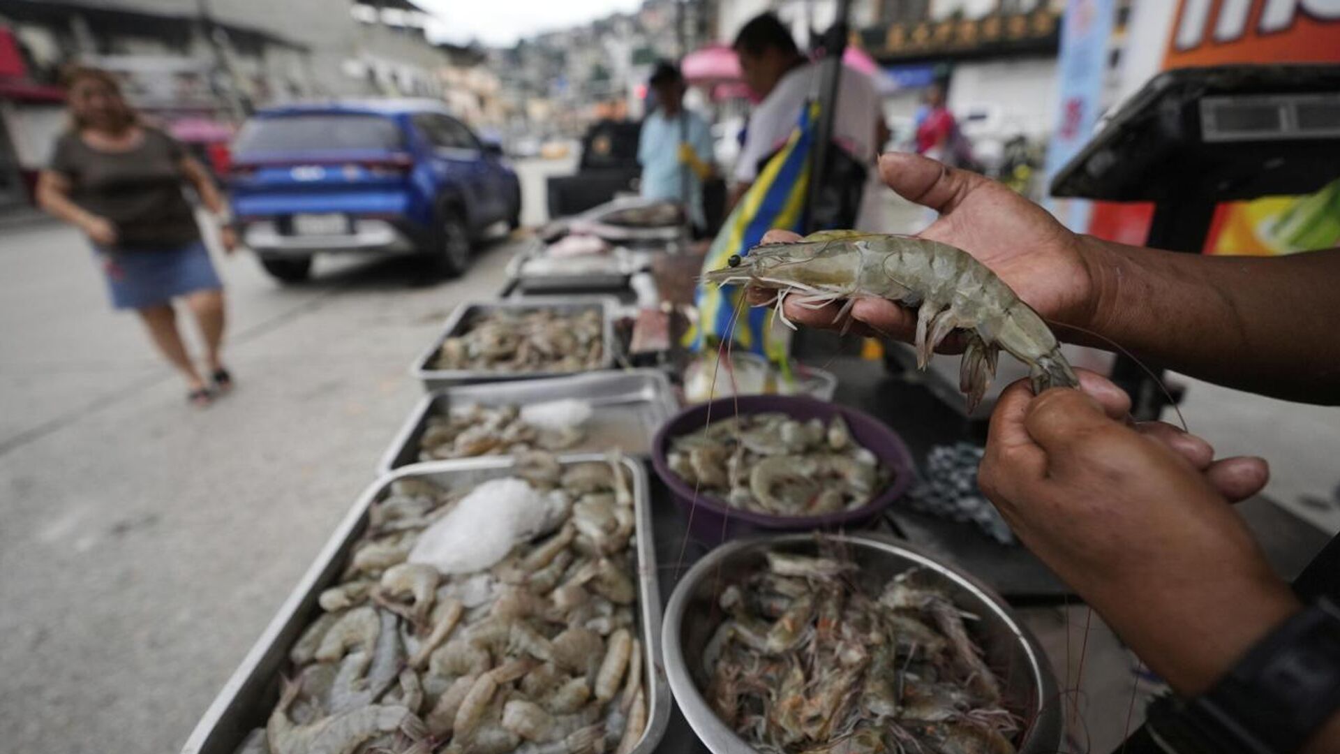 Las exportaciones de camarón en Ecuador superan a las de petróleo en lo que va del 2025 Las exportaciones de camarón en Ecuador superan a las de petróleo en lo que va del 2025 - Sputnik Mundo, 1920, 22.10.2025