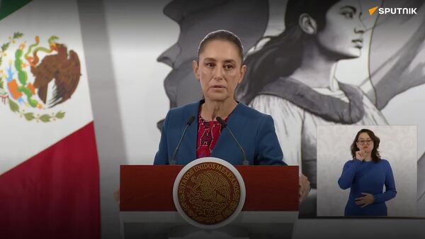 Gobierno de México busca recaudar hasta 400 Gobierno de México busca recaudar hasta 400 - Sputnik Mundo