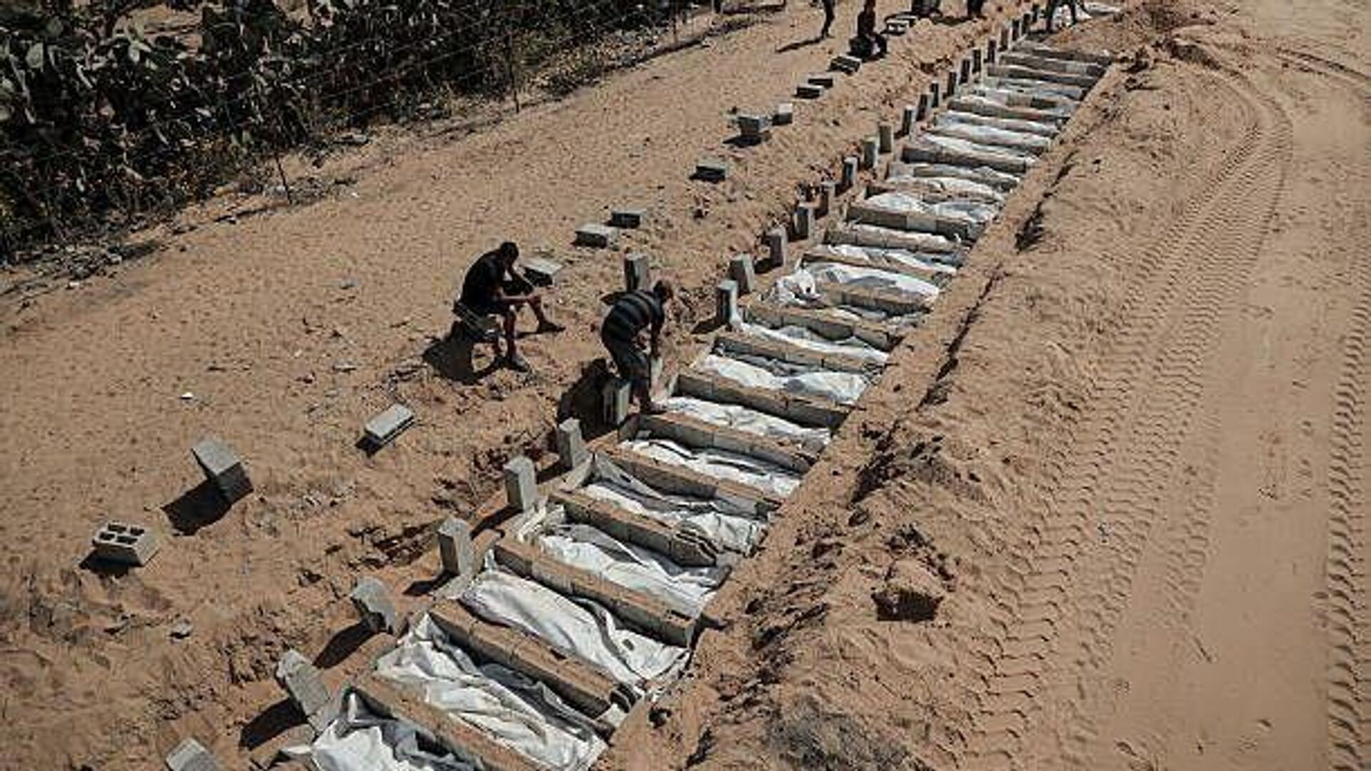 Las últimas noticias desde la Franja de Gaza: Las últimas noticias desde la Franja de Gaza: - Sputnik Mundo, 1920, 23.10.2025