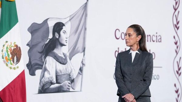 Sheinbaum expresa su desacuerdo con los ataques de EEUU a supuestos buques de narcotráfico - Sputnik Mundo