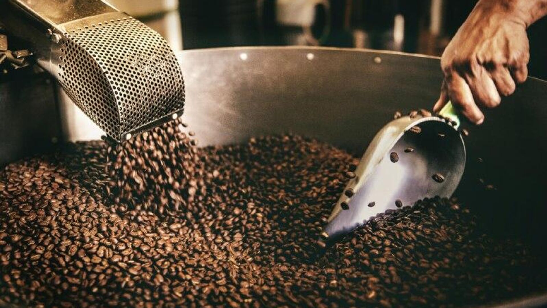 🪙 Precio del café arábica alcanza récord histórico 🪙 Precio del café arábica alcanza récord histórico - Sputnik Mundo, 1920, 23.10.2025