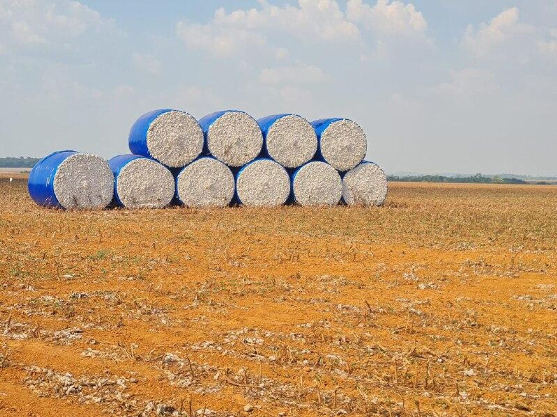 Recuperar tierra degradada para el agro: una solución contra la deforestación en Brasil - Sputnik Mundo, 1920, 23.10.2025