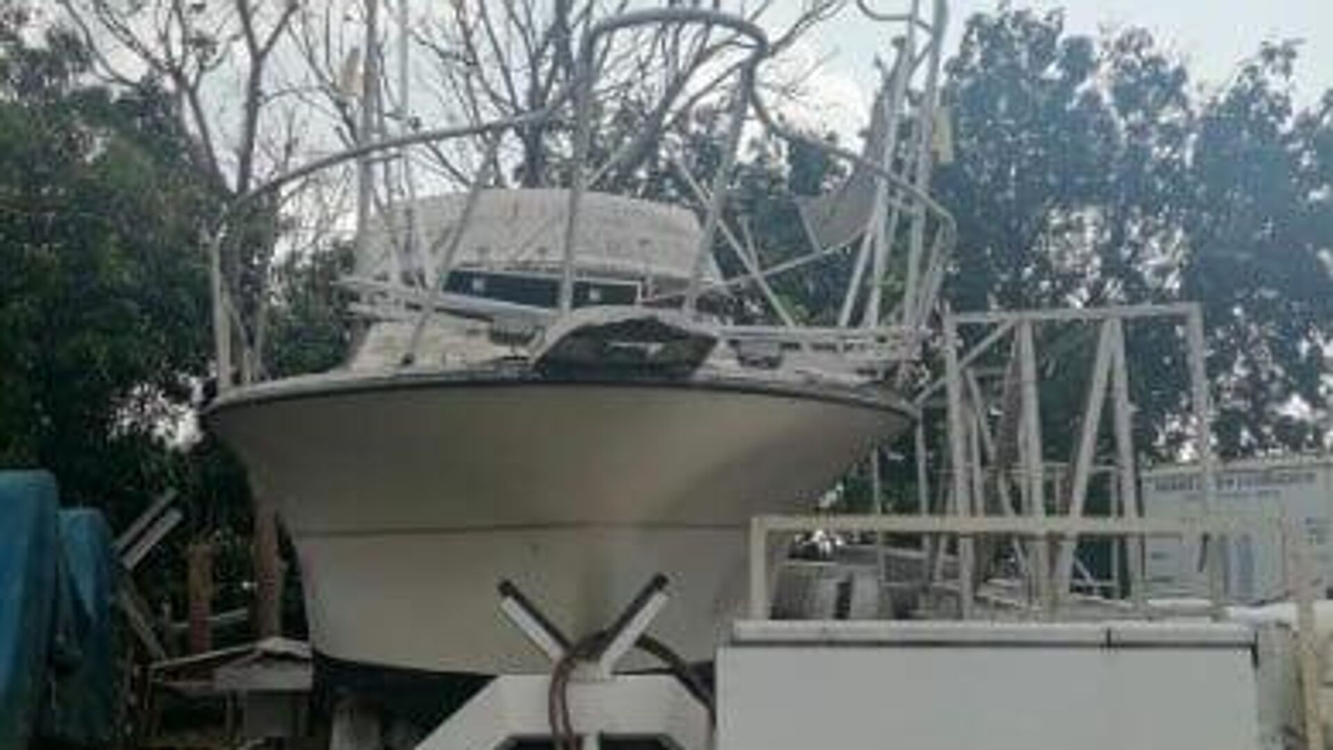  Gobierno de México subastará yates, avionetas, camionetas blindadas y otros artículos decomisados al narco Gobierno de México subastará yates, avionetas, camionetas blindadas y otros artículos decomisados al narco - Sputnik Mundo, 1920, 23.10.2025