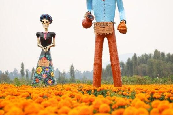 Xochimilco se pinta de naranja con la temporada de cempasúchil Xochimilco se pinta de naranja con la temporada de cempasúchil - Sputnik Mundo