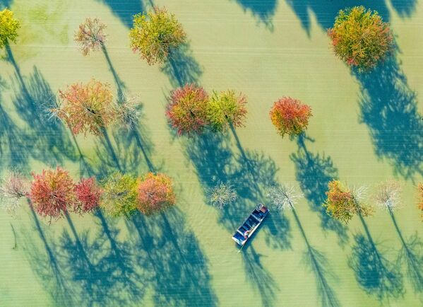 Los agricultores toman botes para verificar el crecimiento de los cangrejos en una base de cría de cangrejos en un bosque de abetos acuáticos, China. - Sputnik Mundo