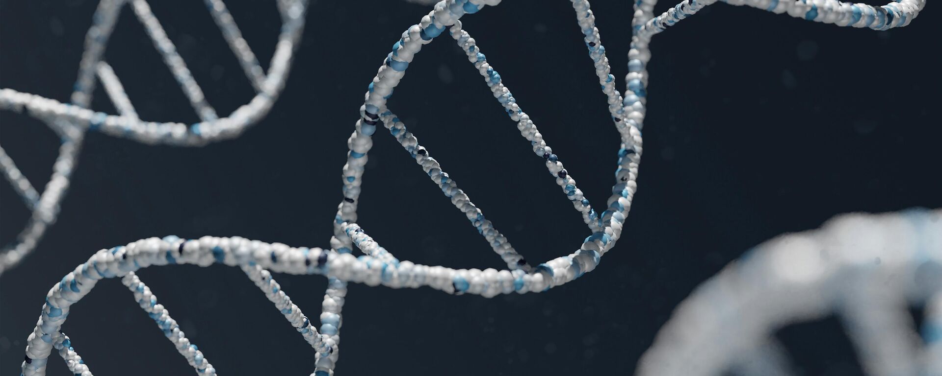 Modelo del ADN - Sputnik Mundo, 1920, 25.10.2025