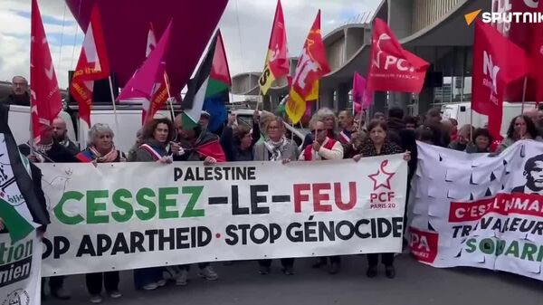 Alto al suministro de armas a Israel: manifestación por la justicia y la paz en París - Sputnik Mundo