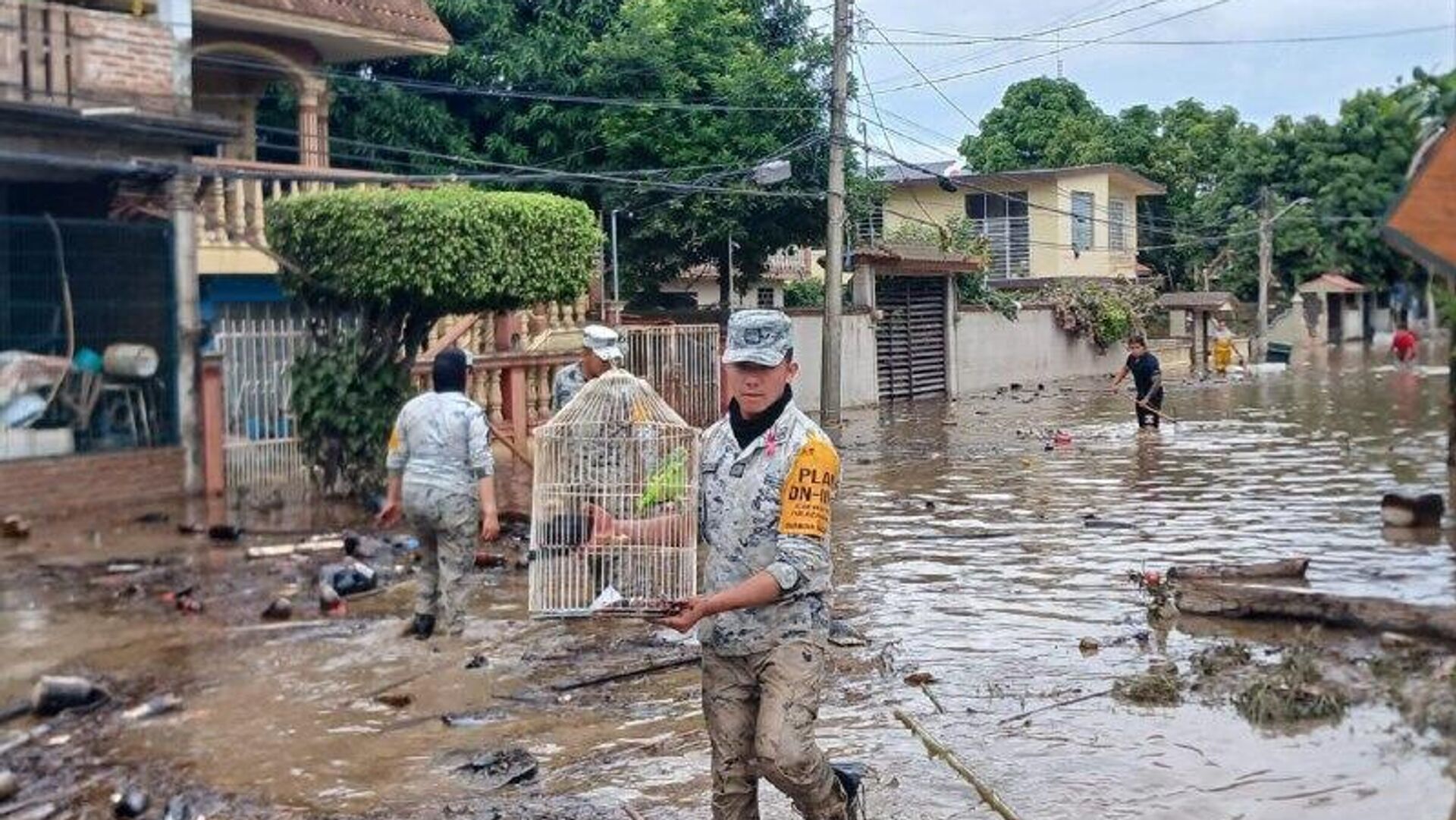 La temporada de lluvias México podría continuar hasta el próximo año, advierte especialista La temporada de lluvias México podría continuar hasta el próximo año, advierte especialista - Sputnik Mundo, 1920, 28.10.2025