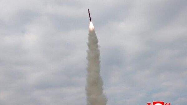 Corea del Norte prueba misiles de crucero estratégicos - Sputnik Mundo